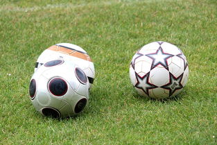 中国足球俱乐部资金投入对青训营产出的回报率，中国足球俱乐部怎么盈利