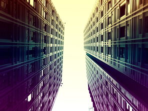 体育新闻中心打造立体化舆情管理机制，体育新闻中心打造立体化舆情管理机制方案