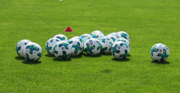 德甲新赛季投入预算较往年显著增长，德甲新赛季前瞻